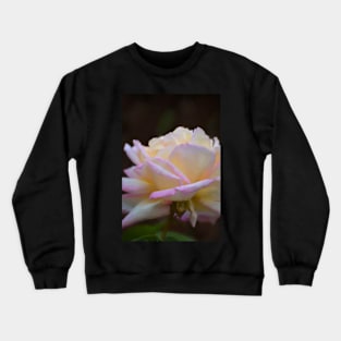 Rose 323 Crewneck Sweatshirt